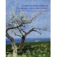 Ettore De Maria Bergler e la ricerca della modernità